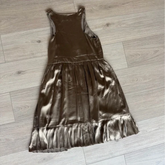 Vfish Taupe Silk Dress with Pleated Trim - Picture 5 of 9